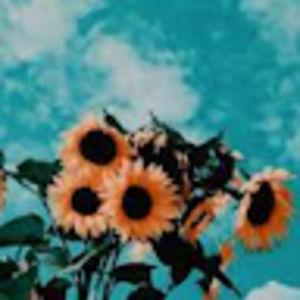 Meet your Posher, Moonlxght